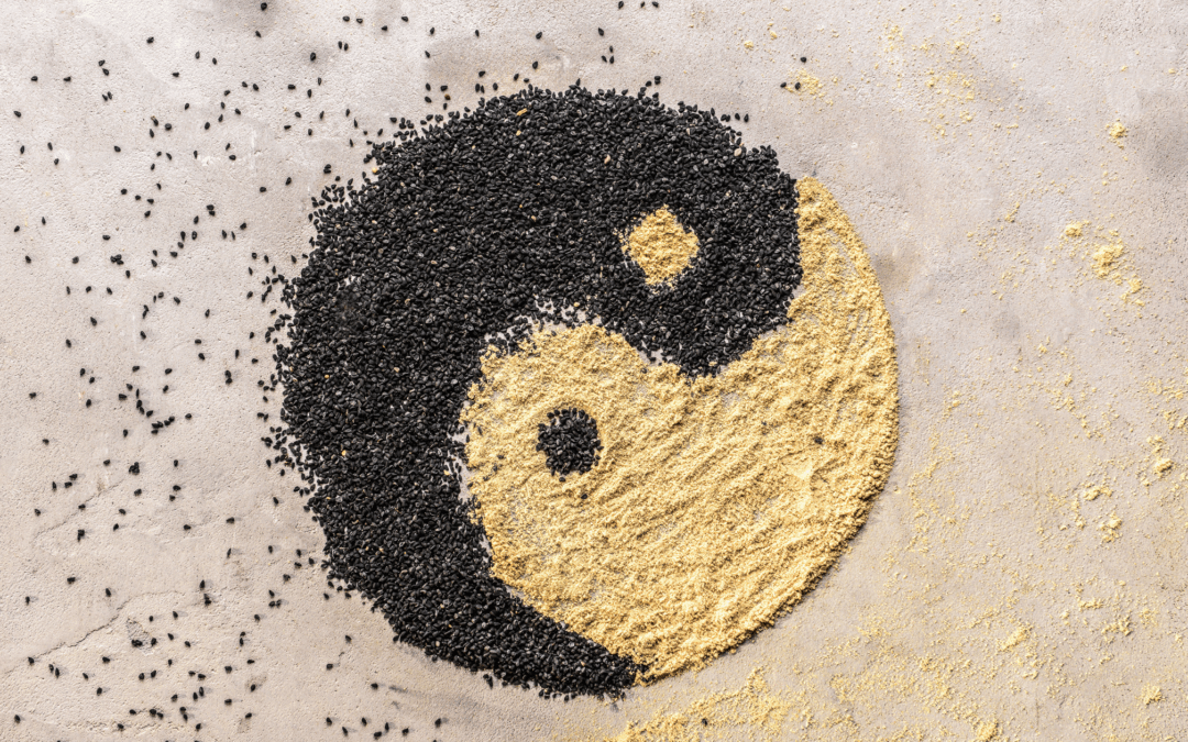 7 Things Living Off-grid Taught Me About Yin & Yang