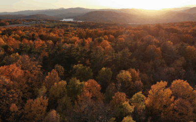 Fall in New Brunswick: How to Support Your Body the TCM Way