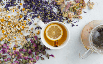 How to Bring TCM into Your Daily Life (Without Overhauling Everything)
