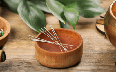 How Acupuncturists Actually See Your Body (and Why It Is a Relief)