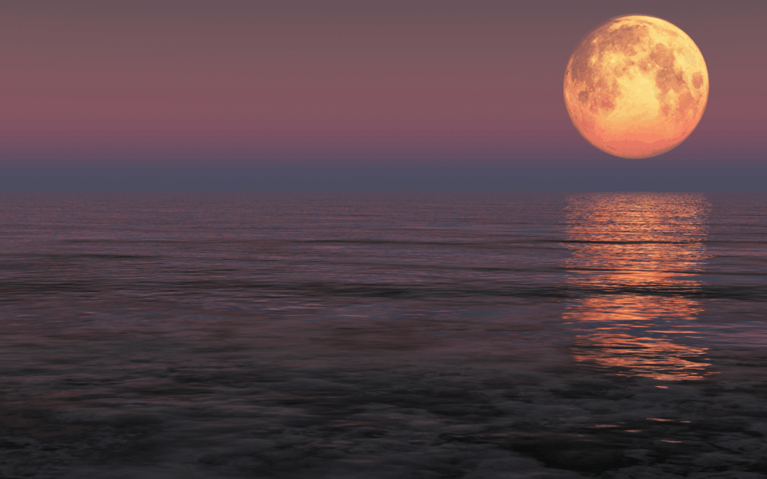 I Swear My Jeans Shrunk in the Moonlight: Hormonal water retention, digestive Qi, and practical fixes