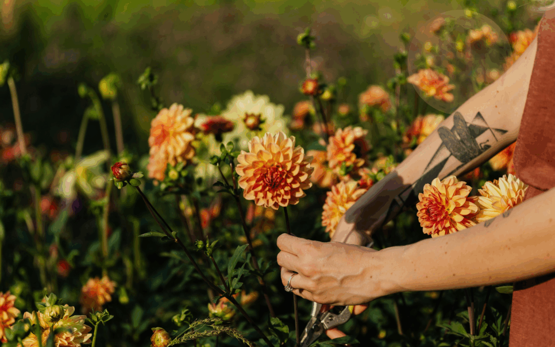 The Hormone Reset No One Talks About: How to Feel Like Yourself Again Without a Single Supplement