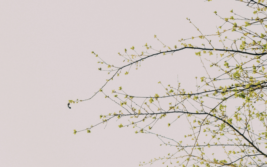 Bedford Acupuncture for Perimenopause