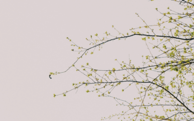 Bedford Acupuncture for Perimenopause