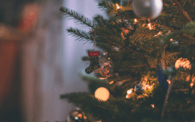 To Every Woman Surviving Acupuncture School in December