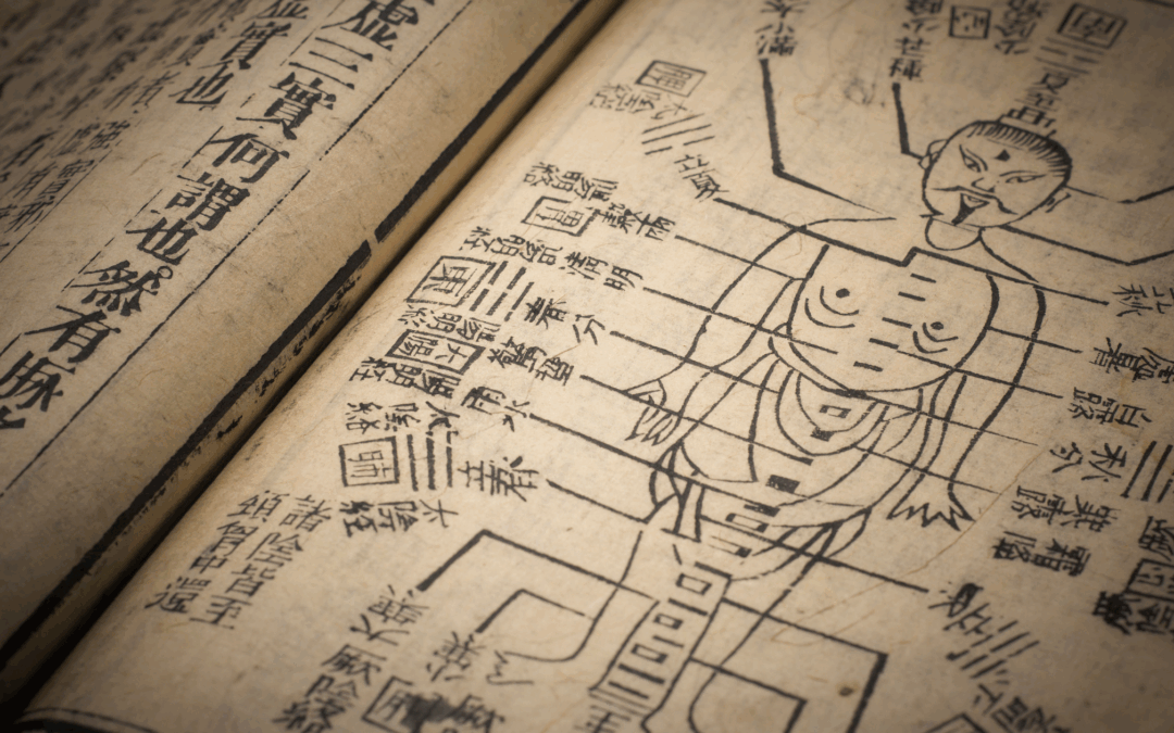 The Most Unexpected Thing I’m Learning in Acupuncture College