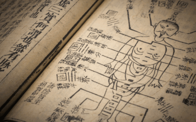 The Most Unexpected Thing I’m Learning in Acupuncture College
