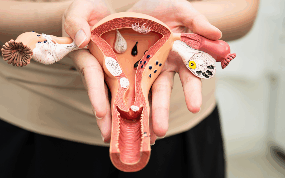 Is My Menstrual Cycle Normal?