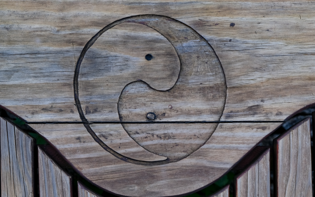 The Eight Principles of TCM And Why They Matter More Than a Diagnosis