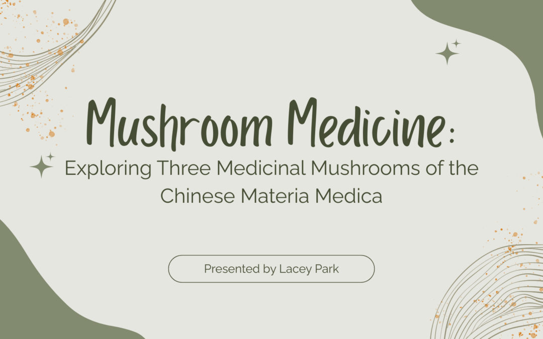 Mushroom Medicine, Where Chinese Herbal Theory Meets the Forest Floor
