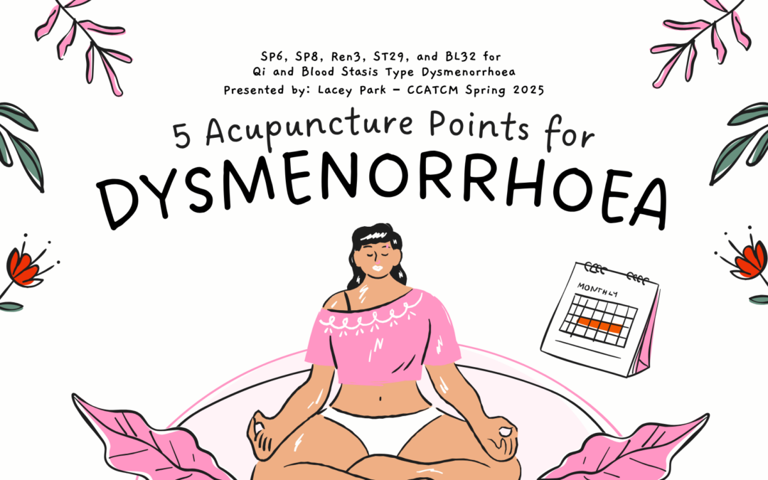 Acupuncture for Painful Periods, What I Learned About Qi, Blood, and Actually Getting Relief