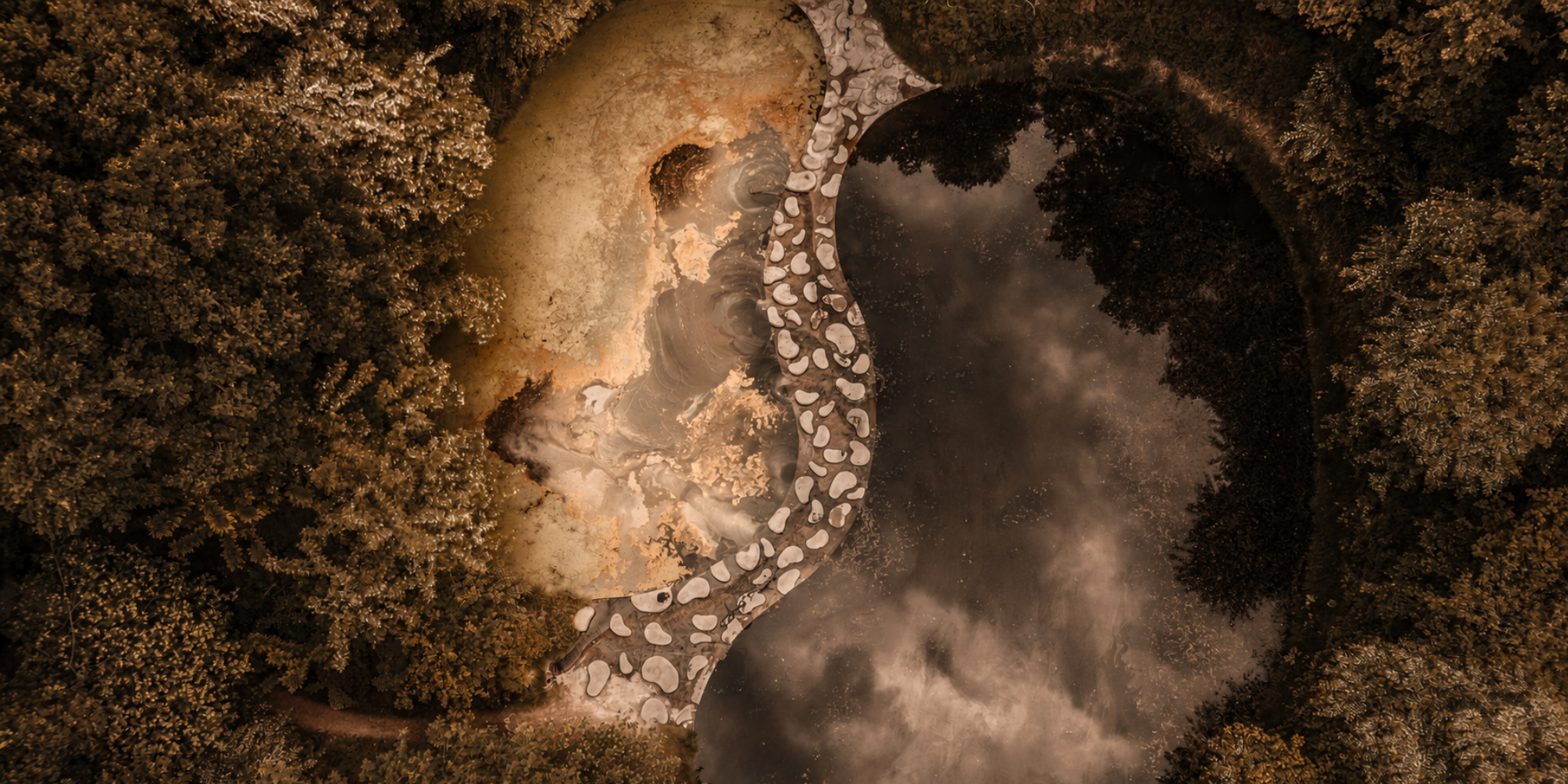 Aerial view of a yin-yang shaped landscape surrounded by forest, edited in warm earth tones and deep shadows to reflect the philosophy and visual identity of Lacey Park’s Traditional Chinese Medicine brand.
