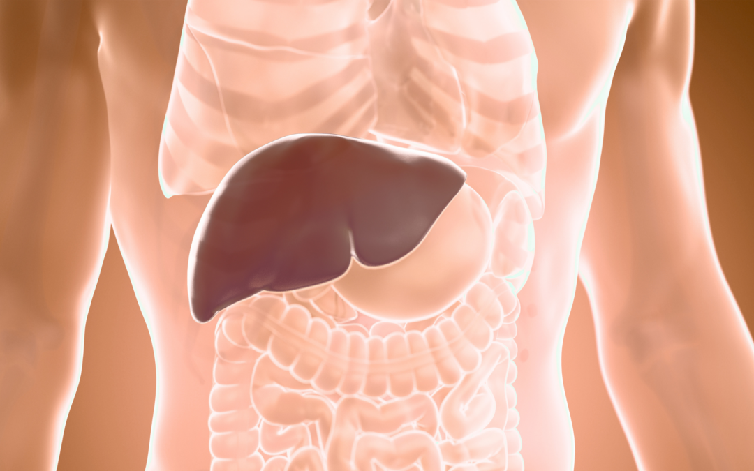When Your Acupuncturist Says “Liver Qi Stagnation”… This Is What She Actually Means